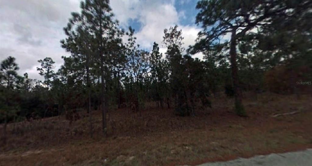Recently Sold: $9,000 (0.98 acres)