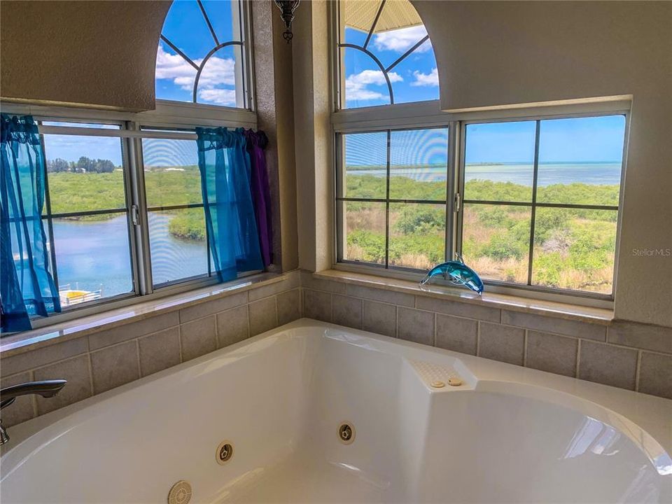 View from the Master Tub