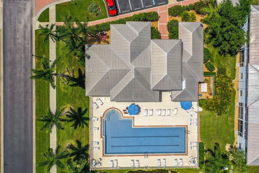 Aerial shot of pool (Lap swimming pool)
