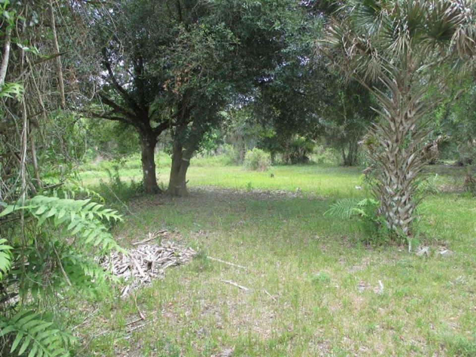 Vendido Recientemente: $13,500 (1.25 acres)