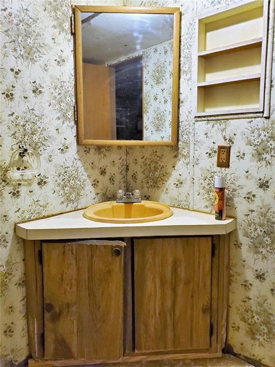 Bathroom Vanity