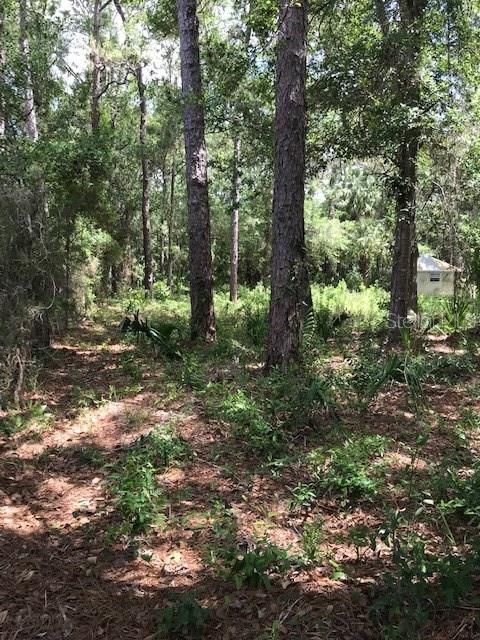 Recently Sold: $17,000 (0.27 acres)