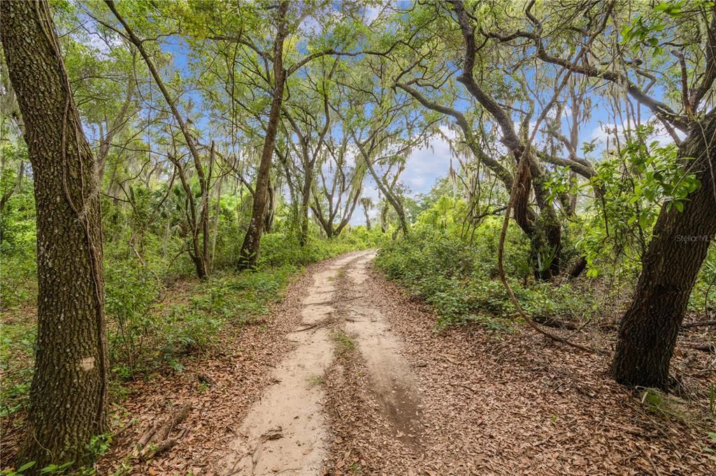 Недавно продано: $75,000 (3.60 acres)