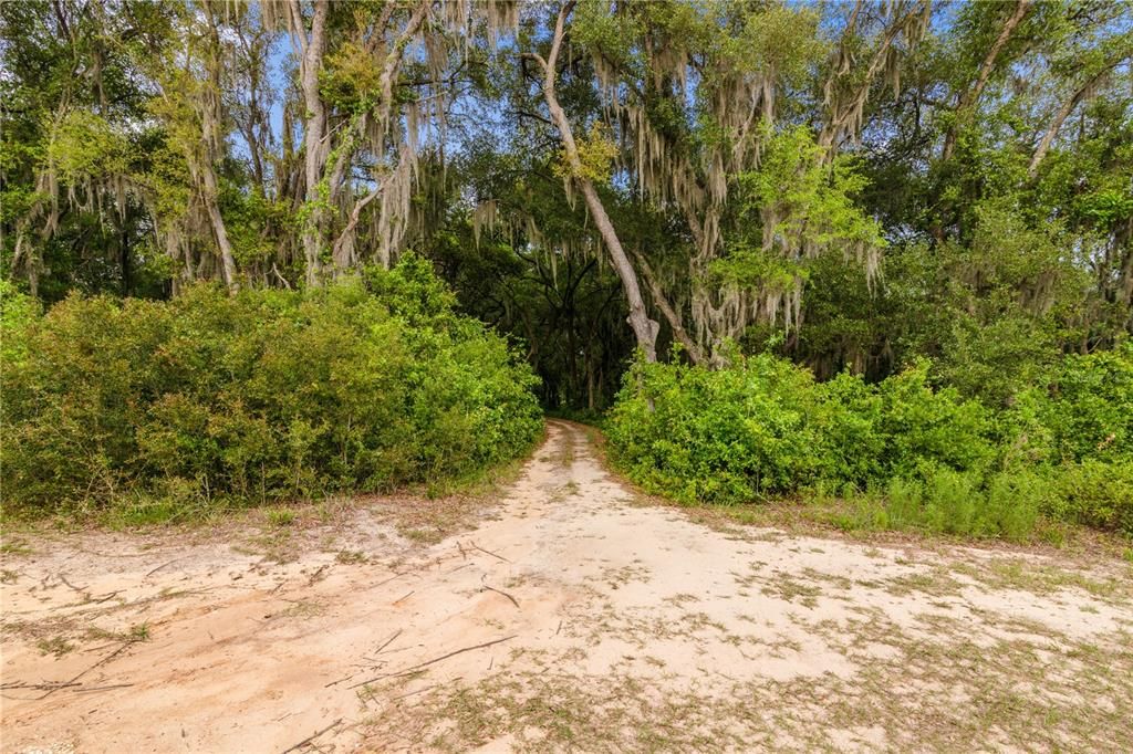 Vendido Recientemente: $75,000 (3.60 acres)