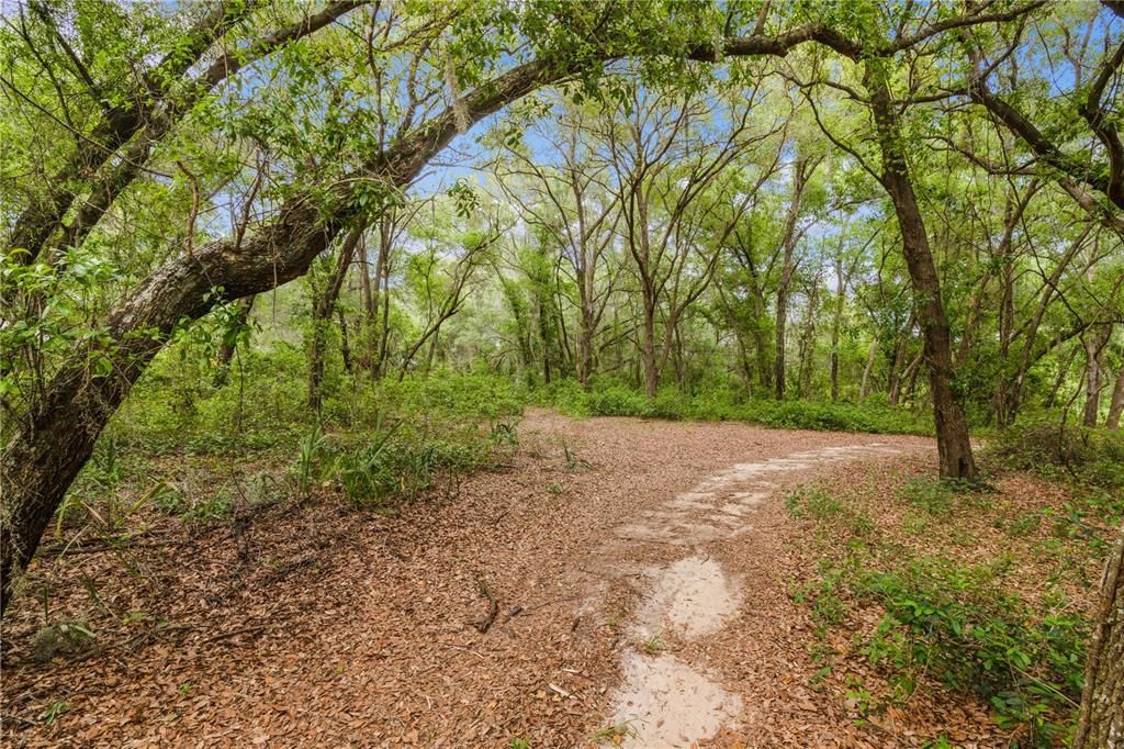 最近售出: $75,000 (3.60 acres)