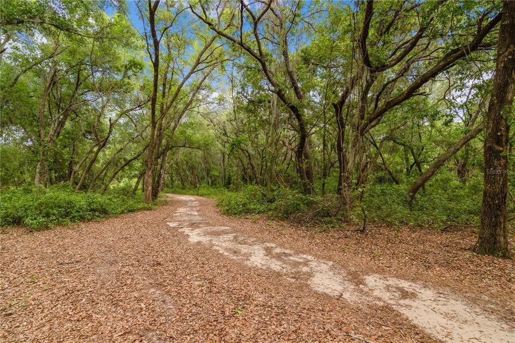 Недавно продано: $75,000 (3.60 acres)