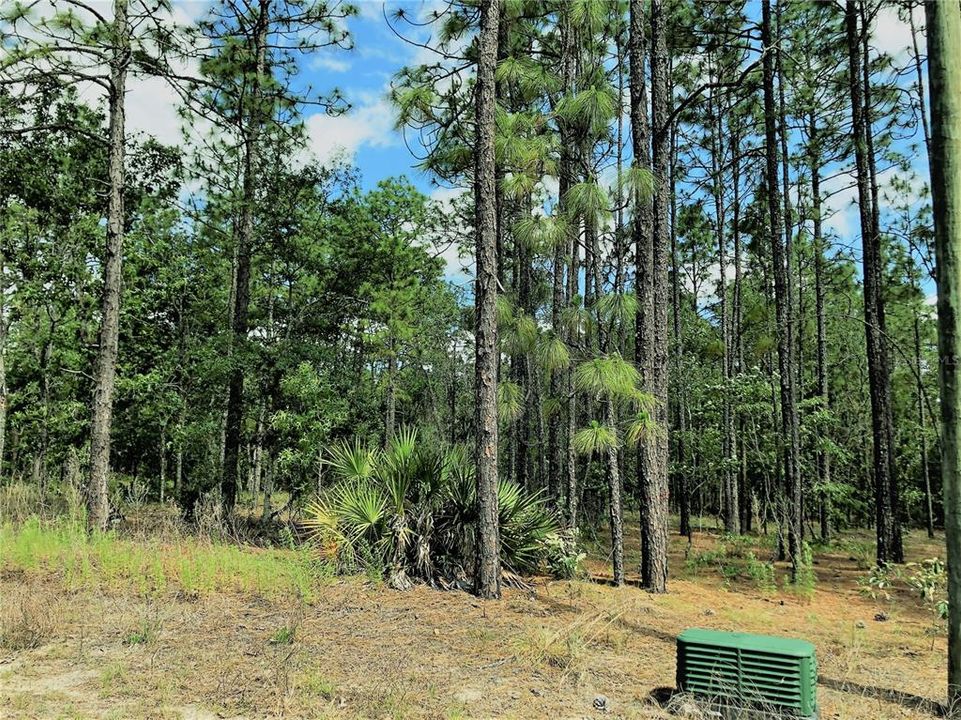 Recently Sold: $39,000 (1.38 acres)