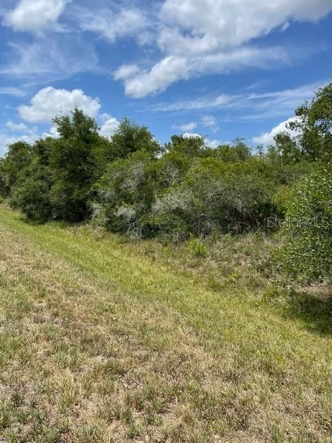 For Sale: $39,500 (0.28 acres)