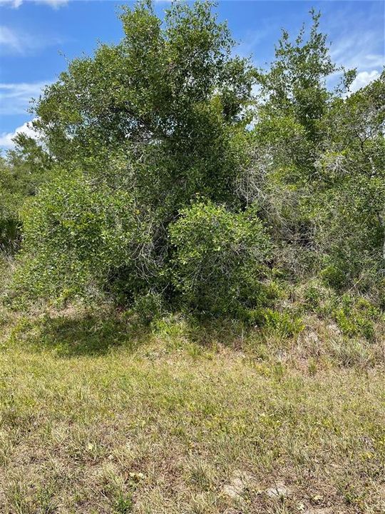 For Sale: $39,500 (0.28 acres)