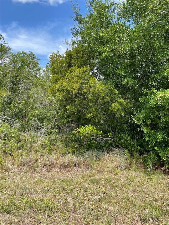 For Sale: $39,500 (0.28 acres)