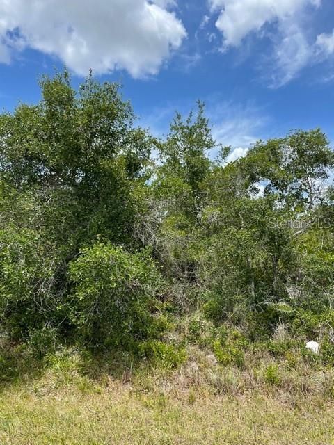 For Sale: $39,500 (0.28 acres)
