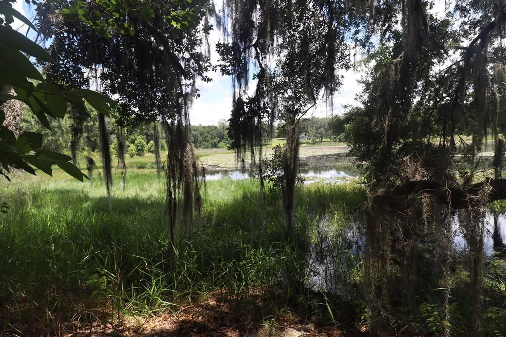 Recently Sold: $42,000 (5.53 acres)