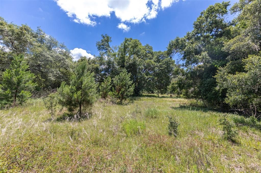 Recently Sold: $125,000 (5.00 acres)