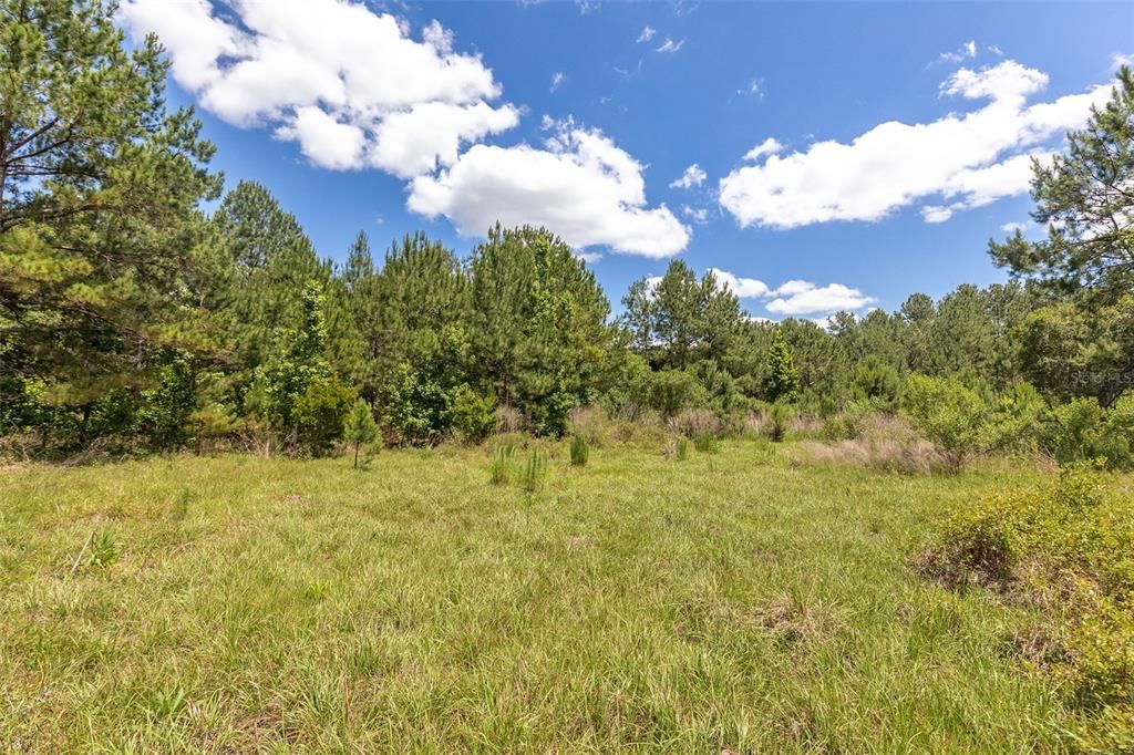 Recently Sold: $125,000 (5.00 acres)