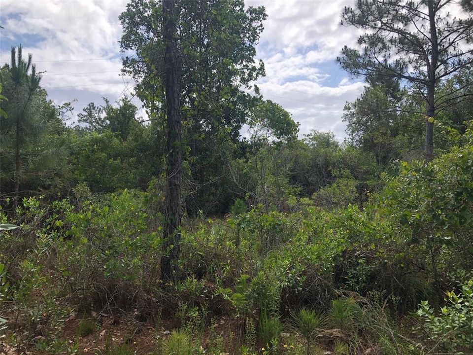 Recently Sold: $99,000 (1.14 acres)