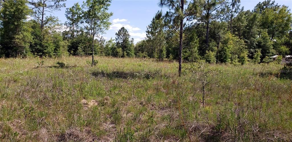 Recently Sold: $10,000 (1.25 acres)