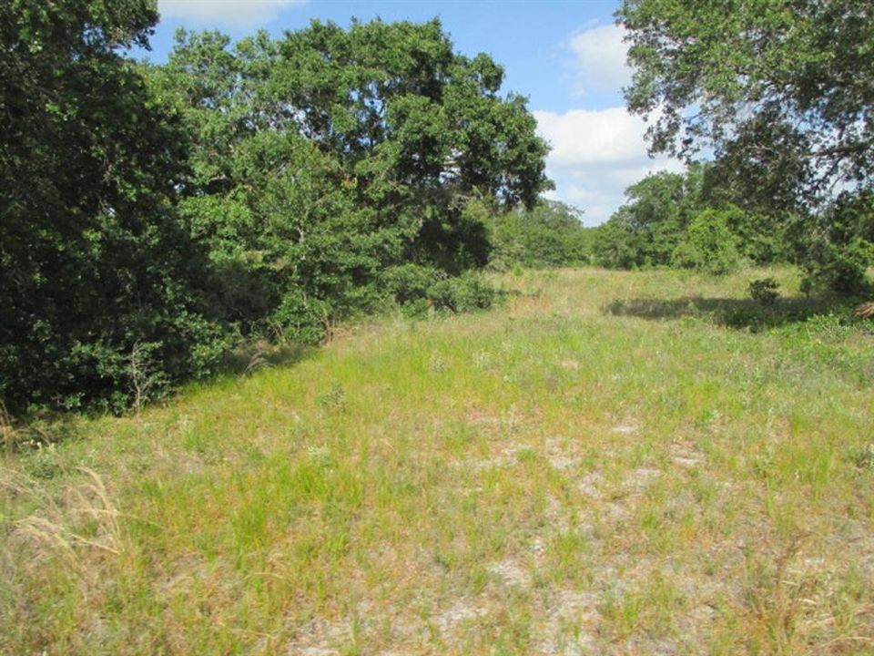 Vendido Recientemente: $105,000 (5.71 acres)