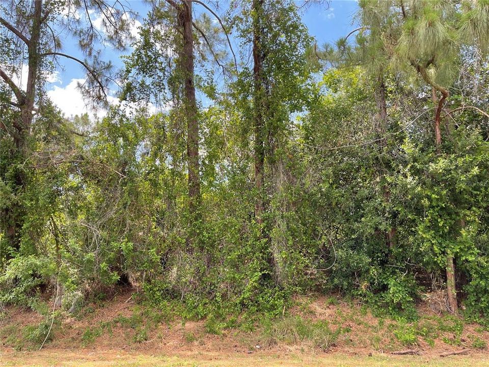 Recently Sold: $95,000 (1.13 acres)