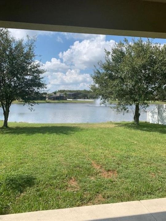 View from rear patio