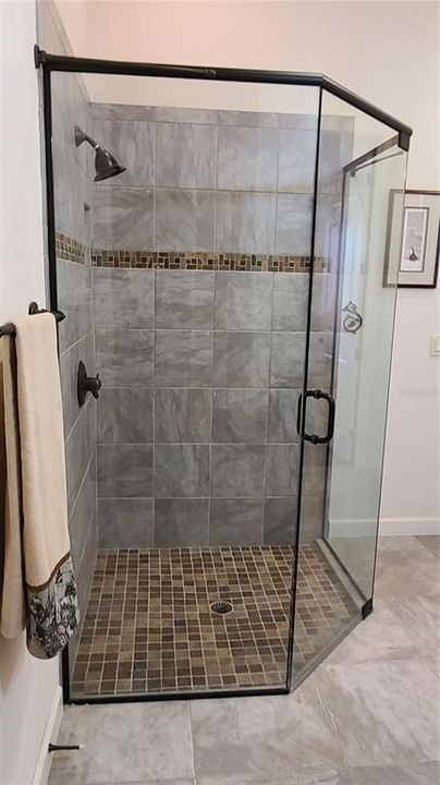 Great Walk-In Frameless Guest Shower
