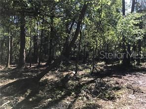 Recently Sold: $55,000 (0.33 acres)