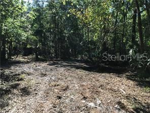 Recently Sold: $55,000 (0.33 acres)