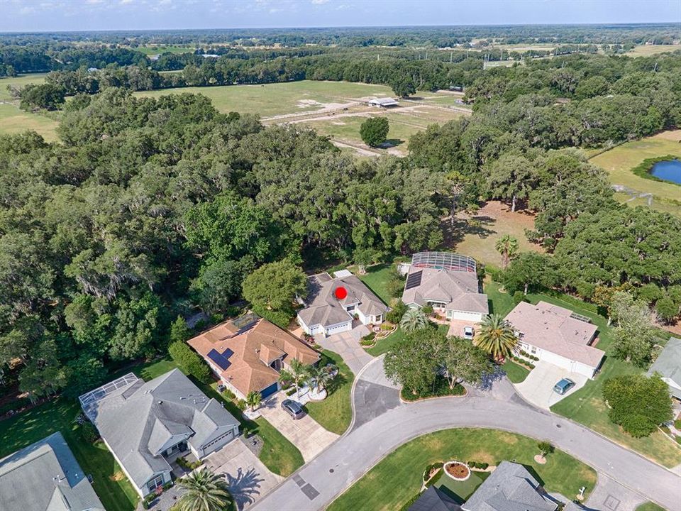 AERIAL VIEW - FARMLAND BEYOND THE TREES!