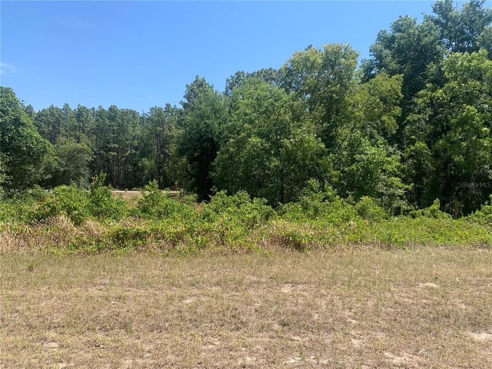 Recently Sold: $14,900 (0.24 acres)