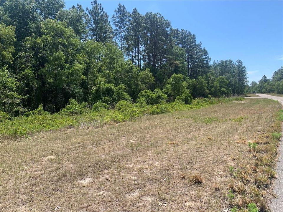 Recently Sold: $14,900 (0.24 acres)