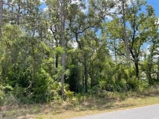 Recently Sold: $27,000 (0.50 acres)