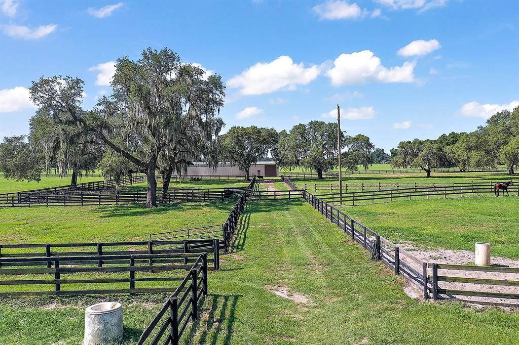 Paddocks. Property line is black fence across lane