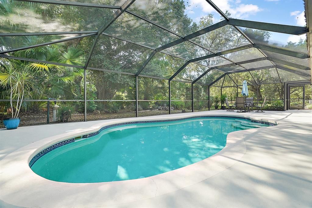 Birdcage over pool with mature landscaping