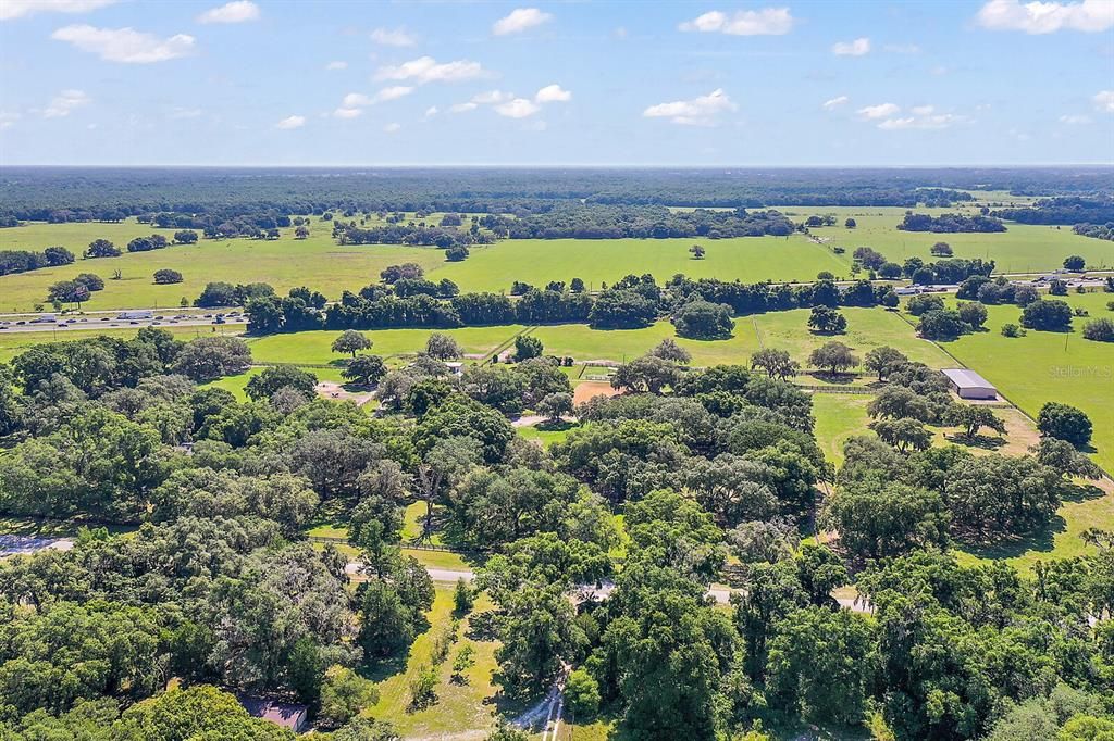 Aerial of majestic oaks in paddocks