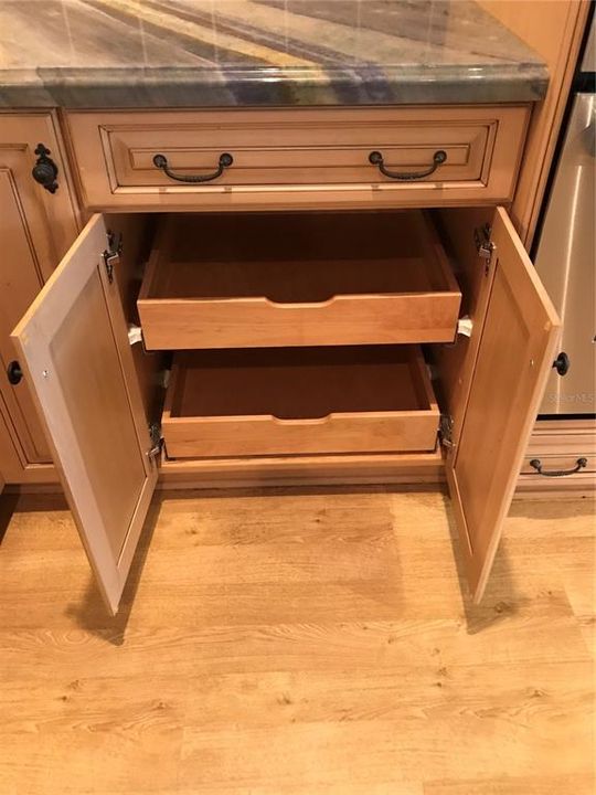 Pull Out Drawer