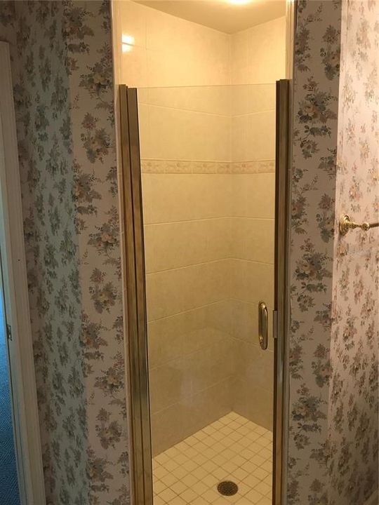 Guest Shower upstairs