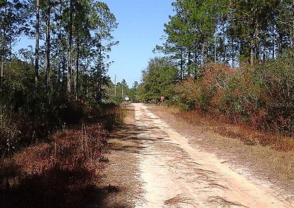 Recently Sold: $5,250 (0.31 acres)