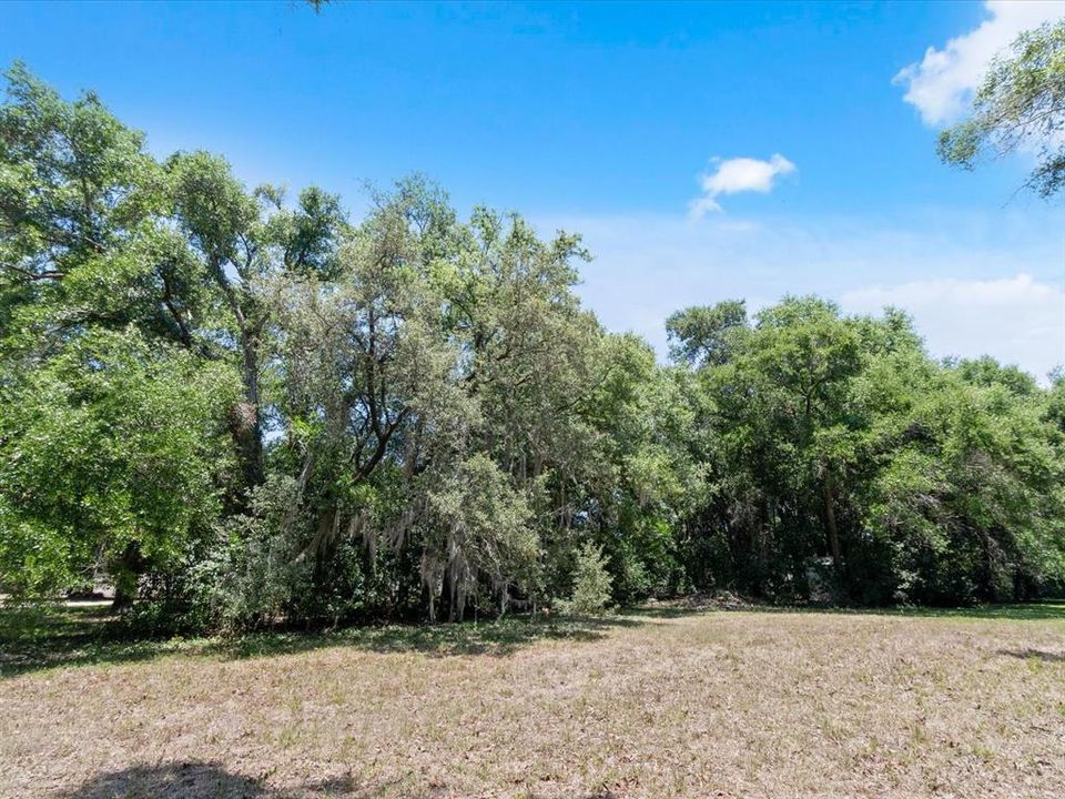 Recently Sold: $70,000 (0.20 acres)