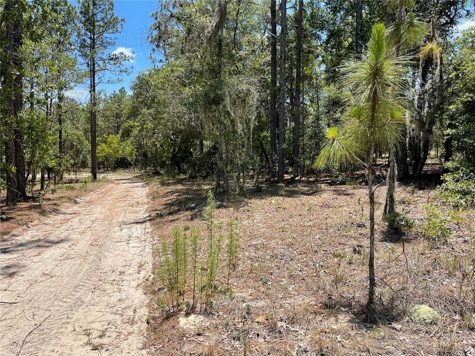 Recently Sold: $130,000 (4.78 acres)