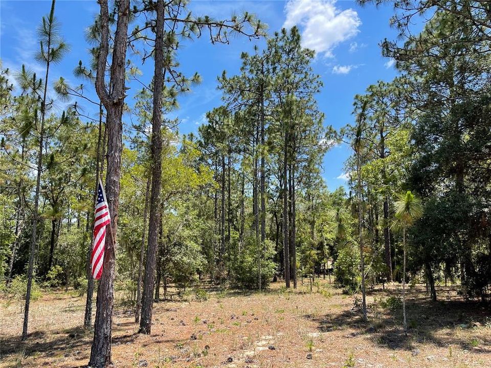 Recently Sold: $130,000 (4.78 acres)