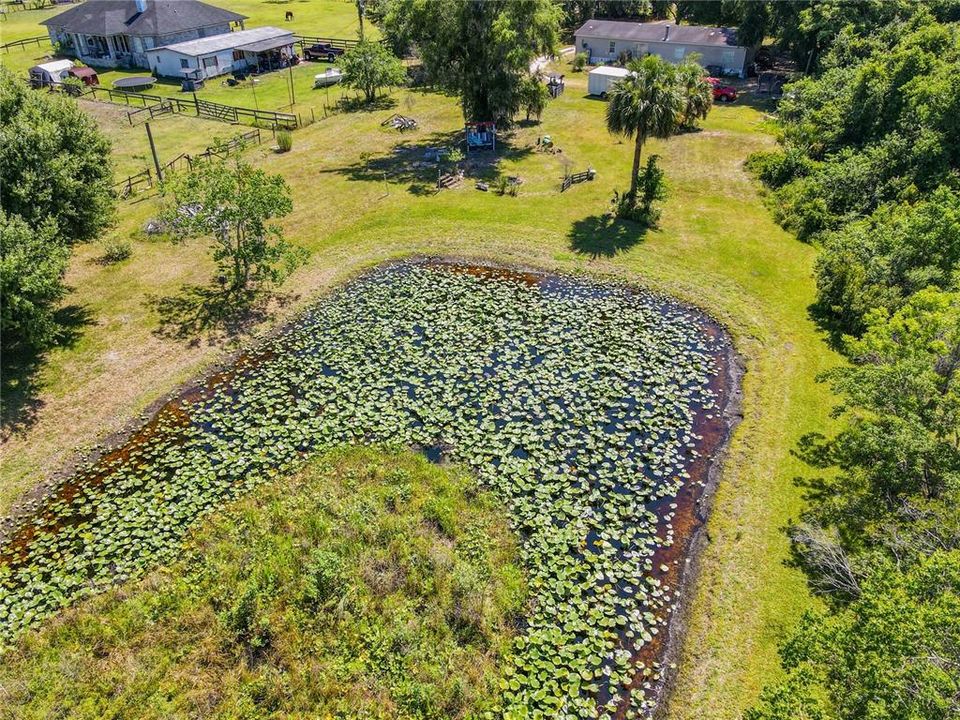 Slice of Central Florida Paradise