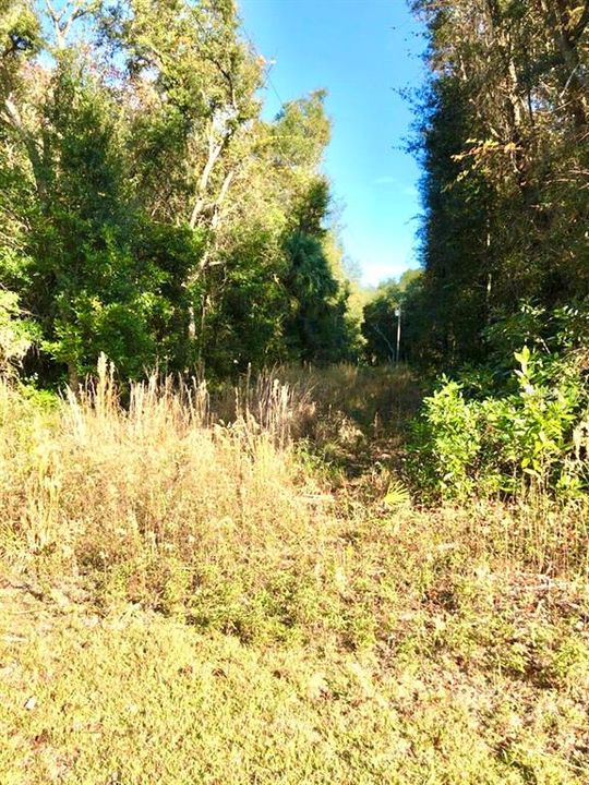 Recently Sold: $24,900 (4.82 acres)