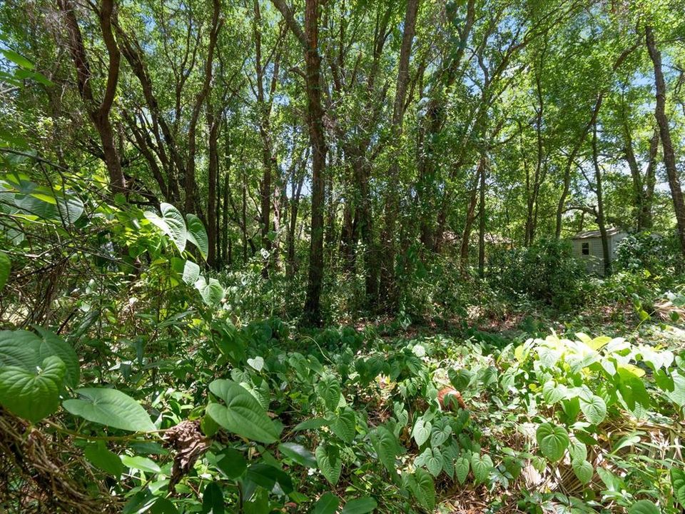 Vendido Recientemente: $70,000 (0.20 acres)