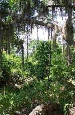 Недавно продано: $299,000 (9.43 acres)