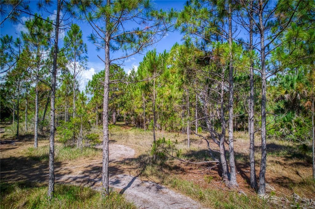 Recently Sold: $17,000 (0.24 acres)