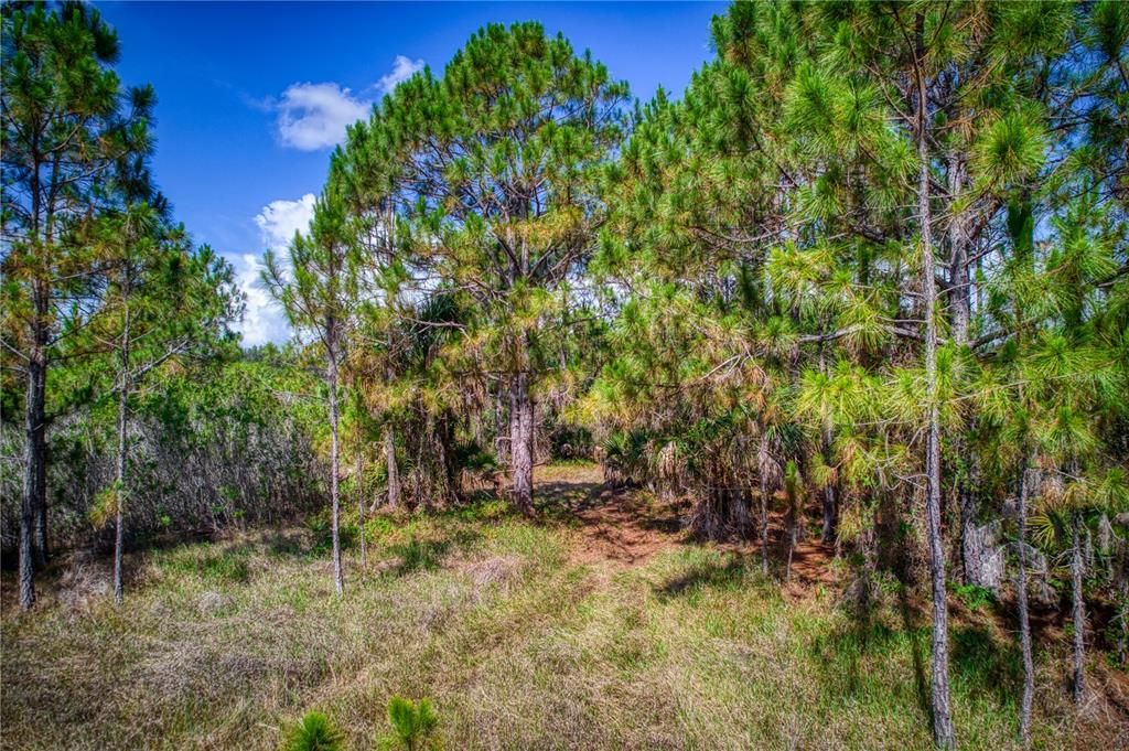 Recently Sold: $17,000 (0.24 acres)