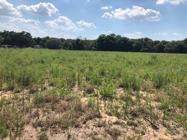 Recently Sold: $84,900 (1.20 acres)