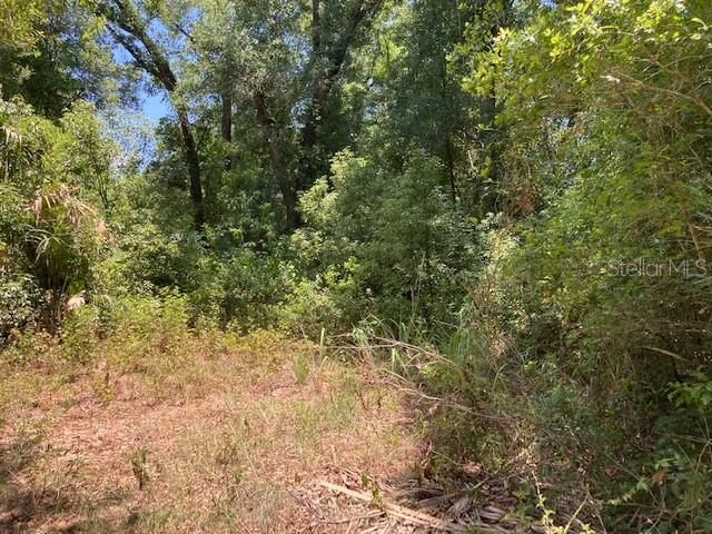 Recently Sold: $55,000 (0.48 acres)