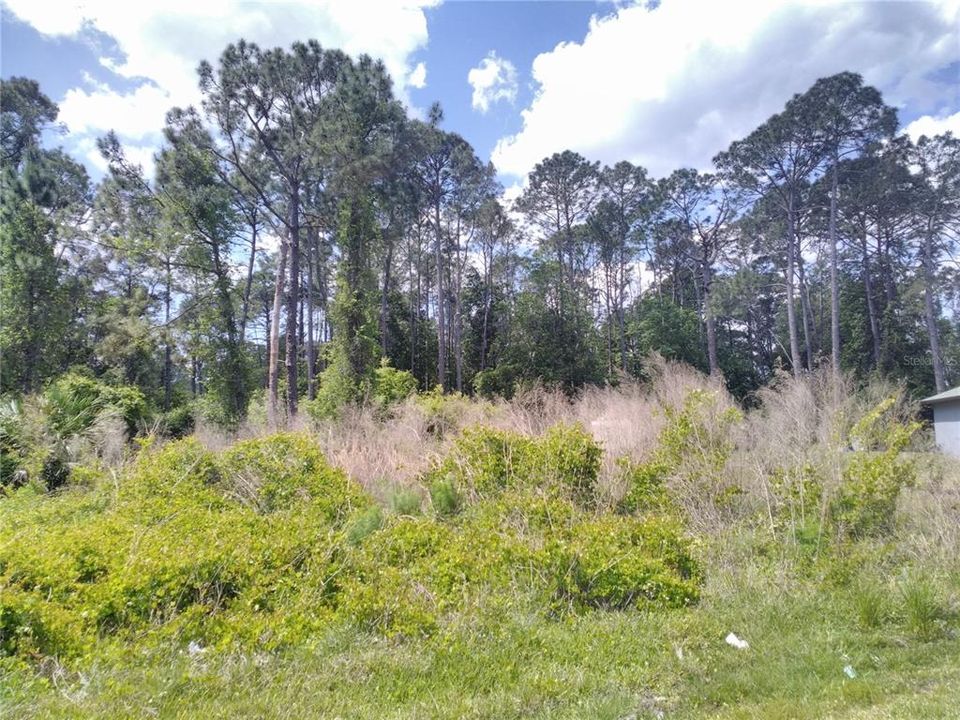 Recently Sold: $55,000 (0.23 acres)