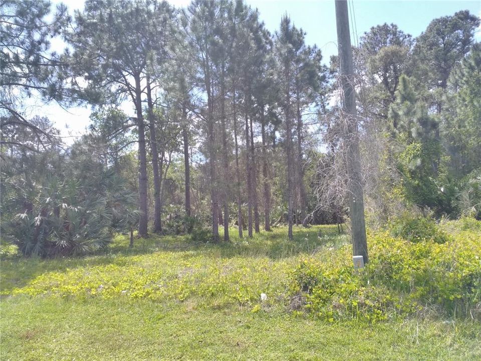 Recently Sold: $55,000 (0.23 acres)