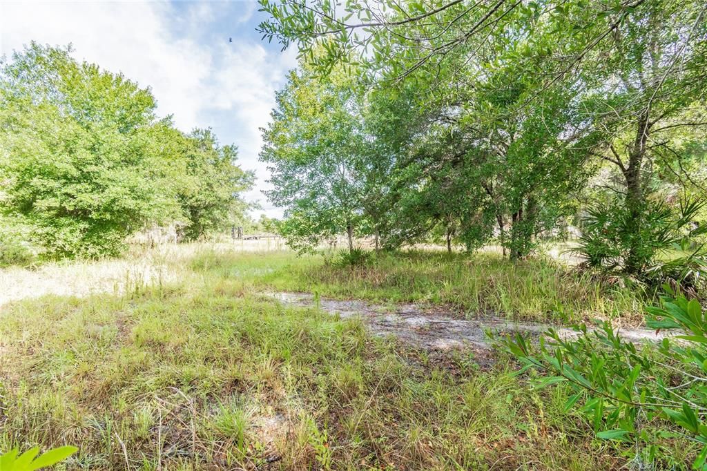 Recently Sold: $125,000 (1.42 acres)